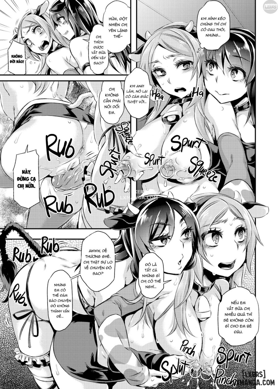 TSF Story Append 
