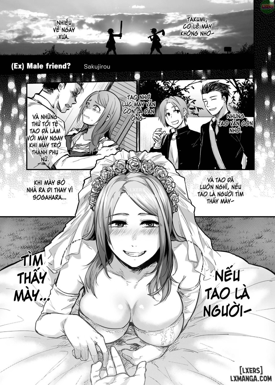 TSF Story Append 
