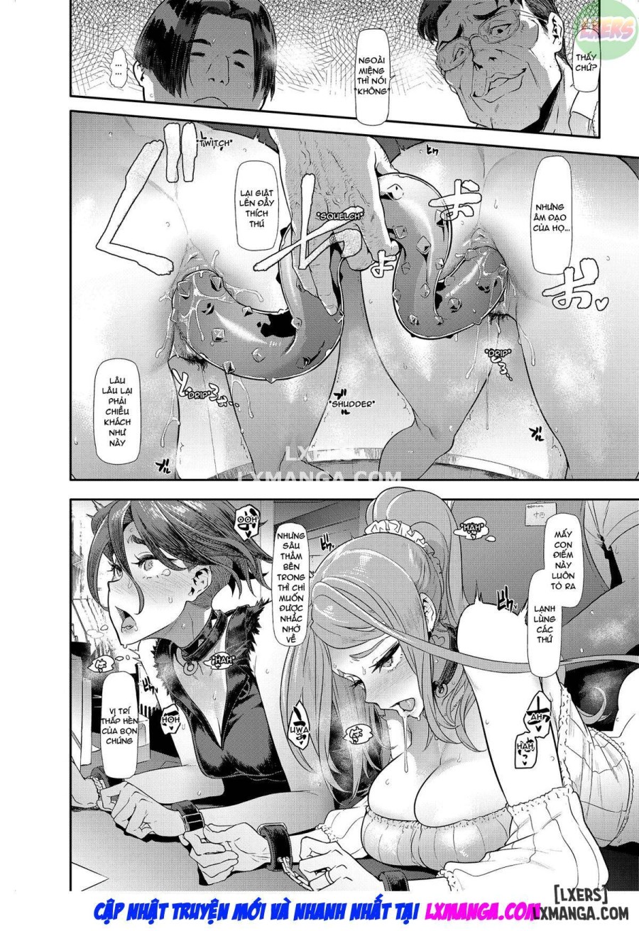 TSF Story Append 