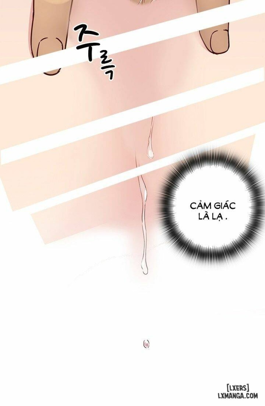 Đại Học H 