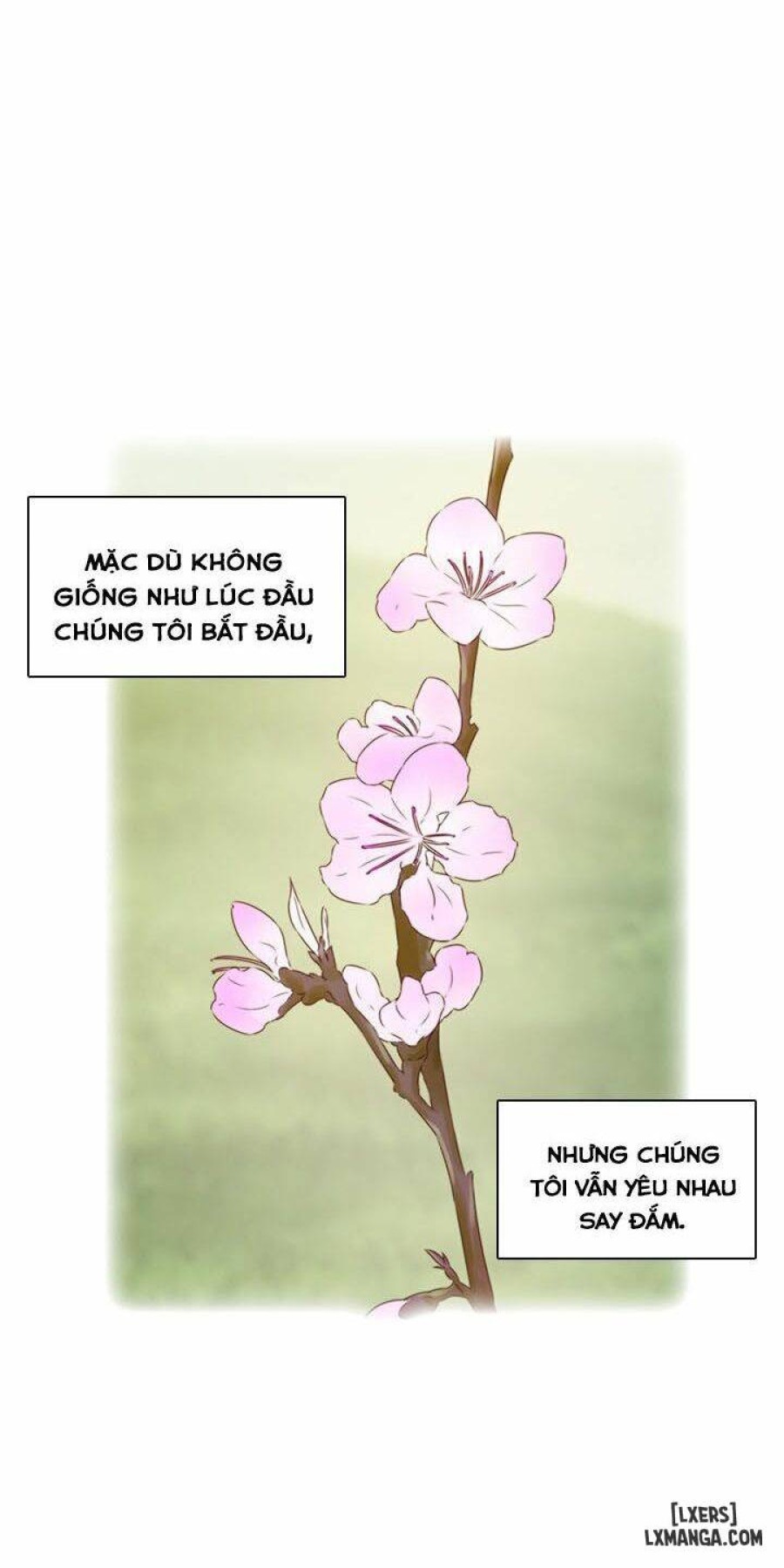 Đại Học H 