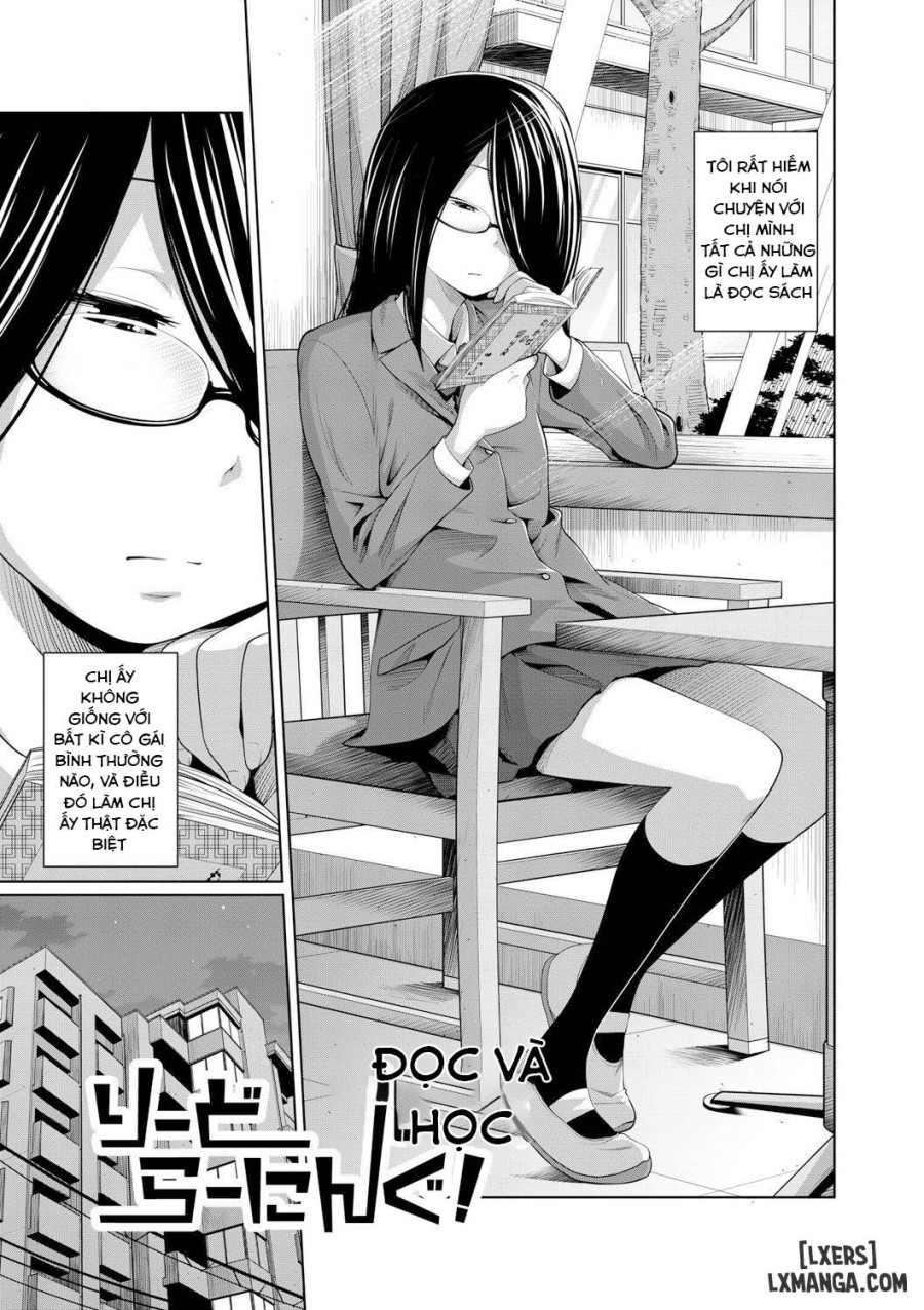 Ane Megane 