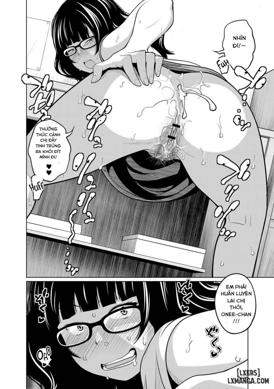 Ane Megane 