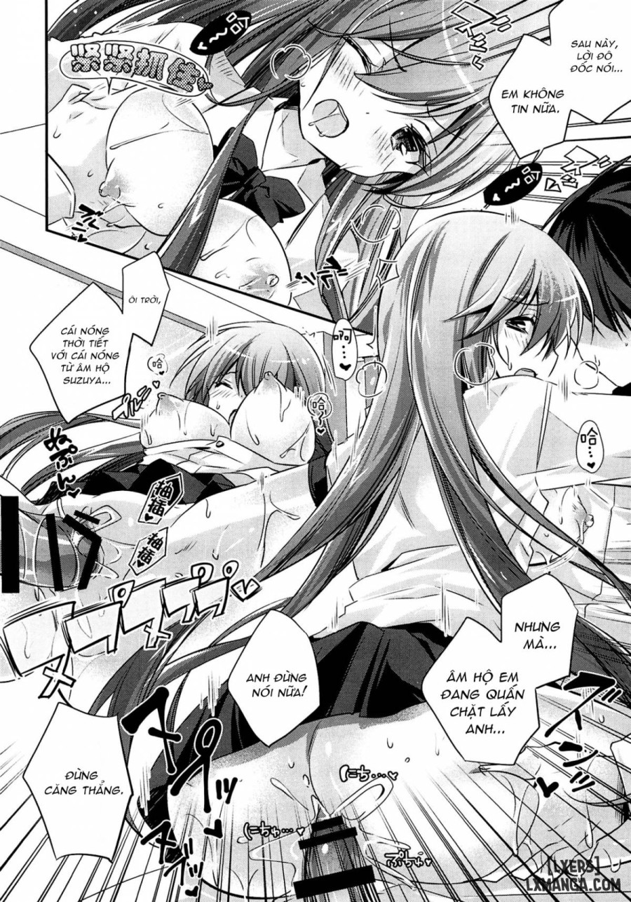 Suzuya, Seijunha 