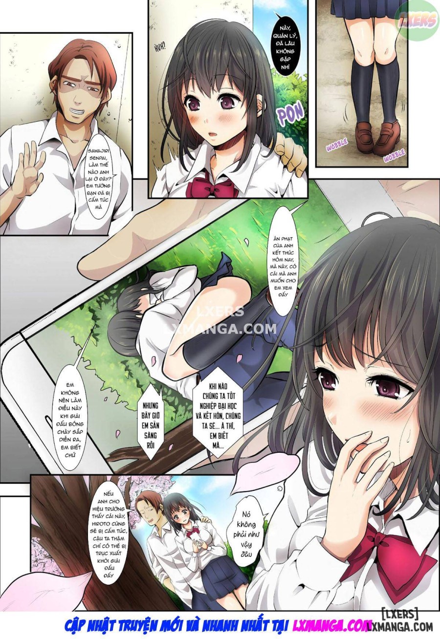 As Cherry Blossoms Fall 