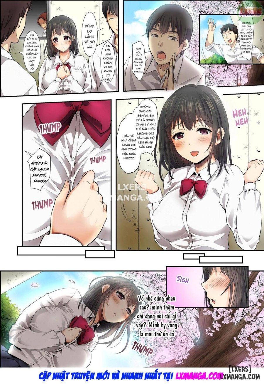 As Cherry Blossoms Fall 