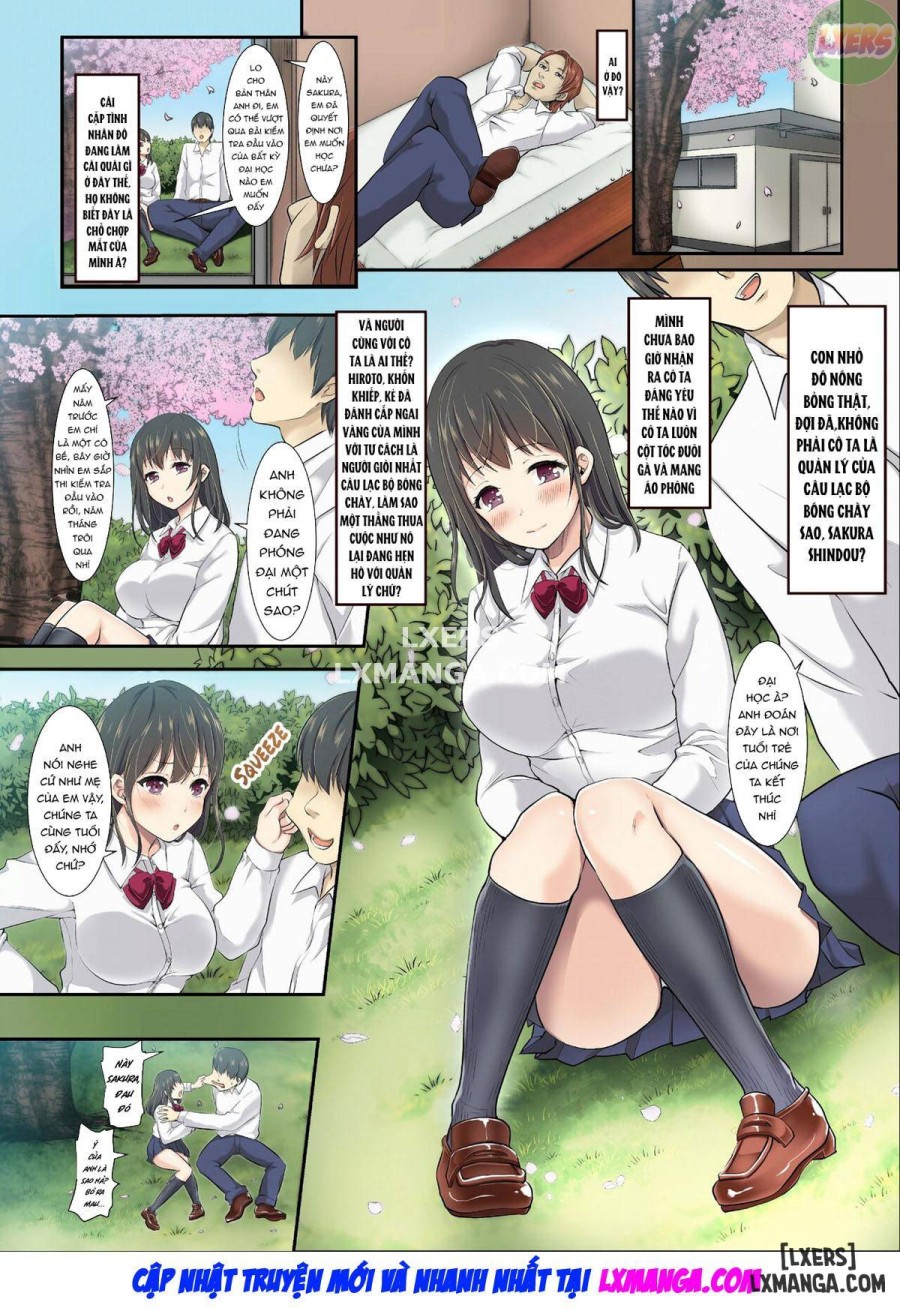 As Cherry Blossoms Fall 