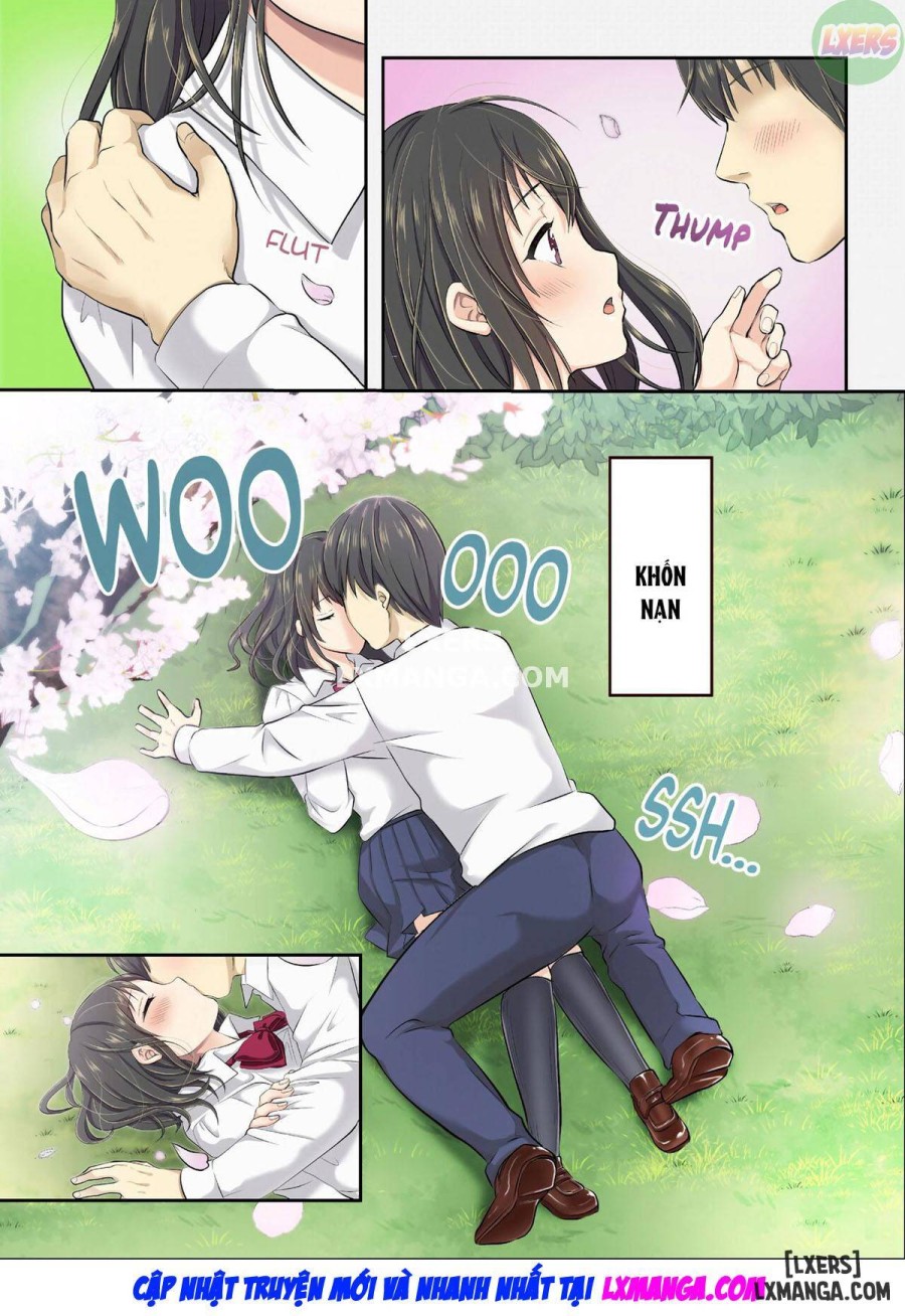 As Cherry Blossoms Fall 