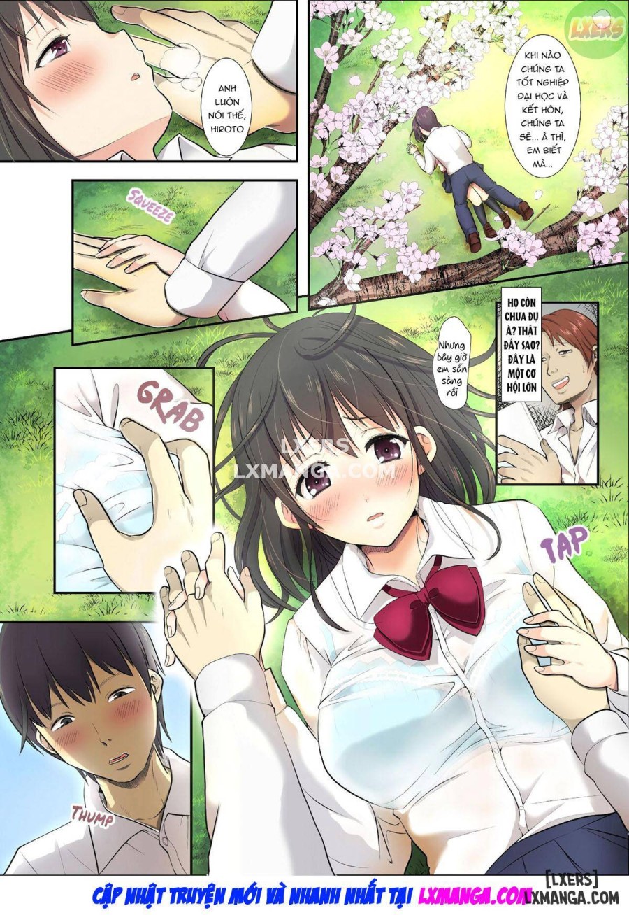 As Cherry Blossoms Fall 