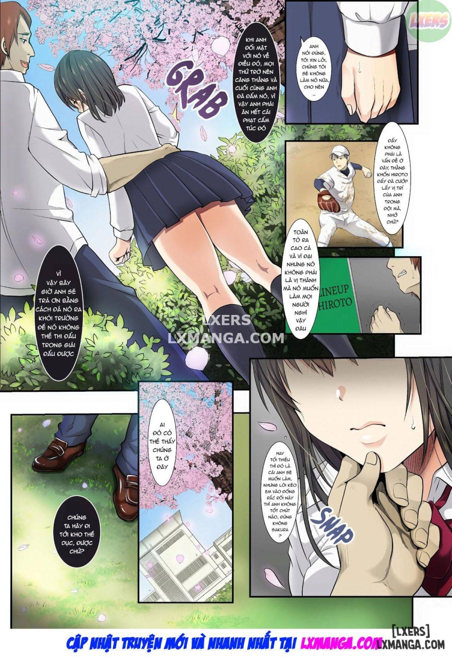 As Cherry Blossoms Fall 