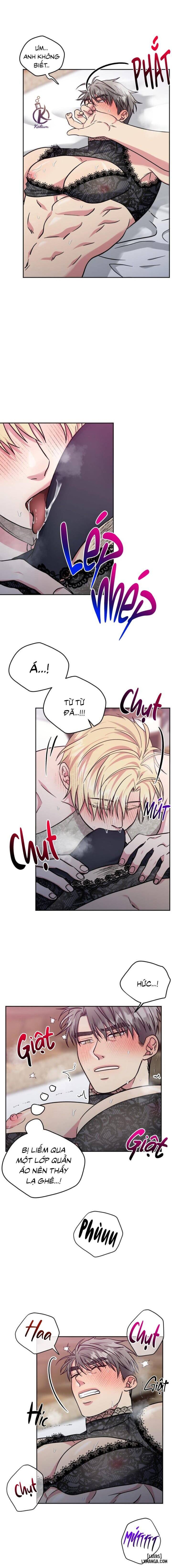 Yêu hoặc cưới 