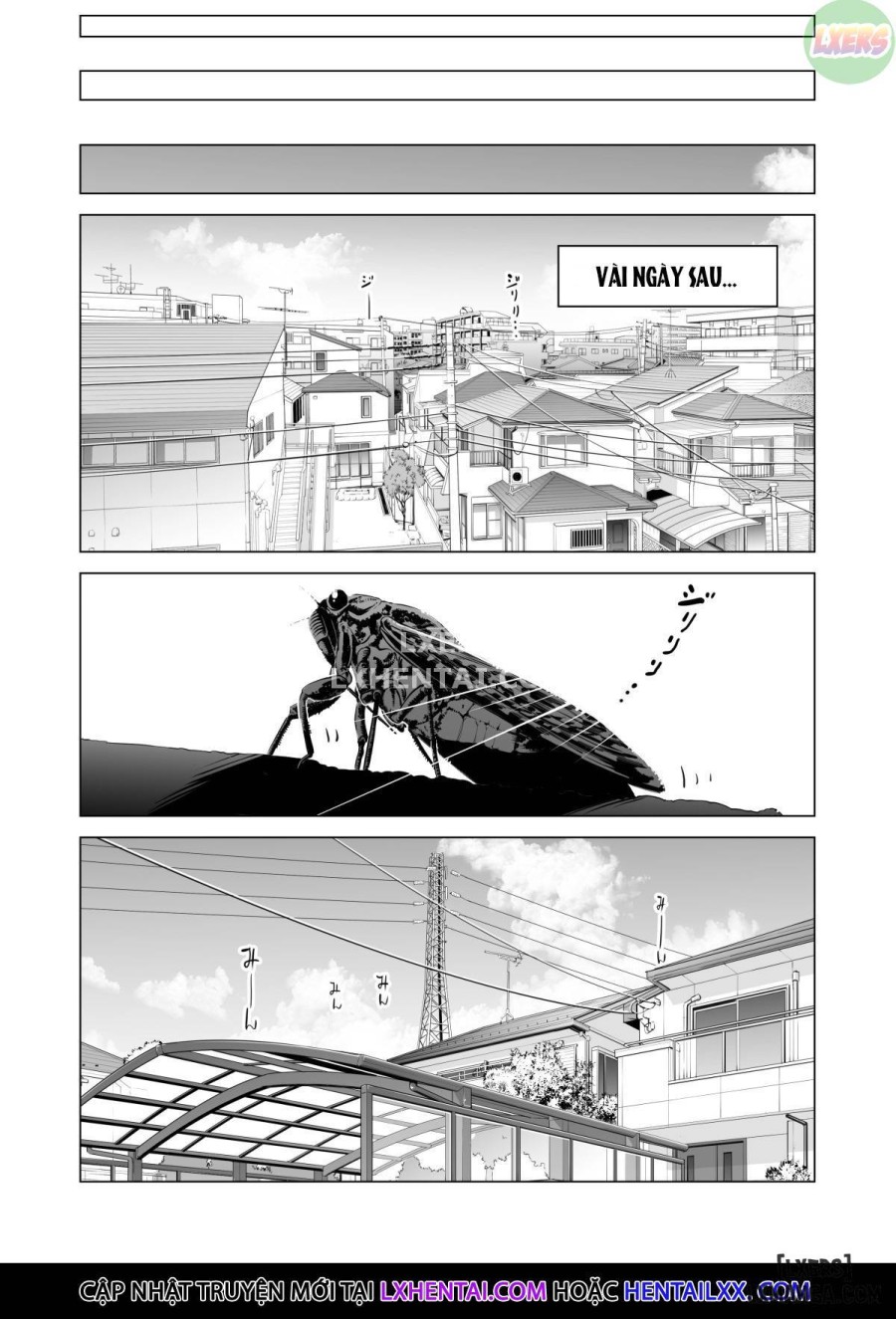 Nureane ~Batsuichi no Ane to Sex o Shita Natsu no Yoru 