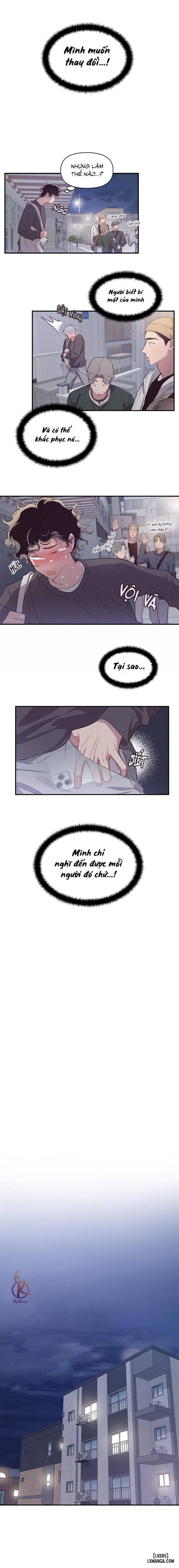 Bí mật của mái tóc 