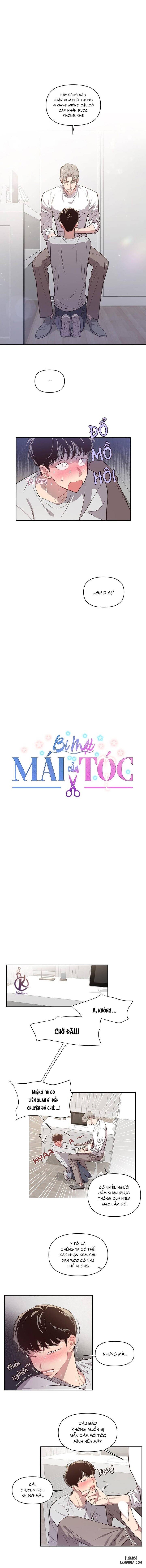 Bí mật của mái tóc 