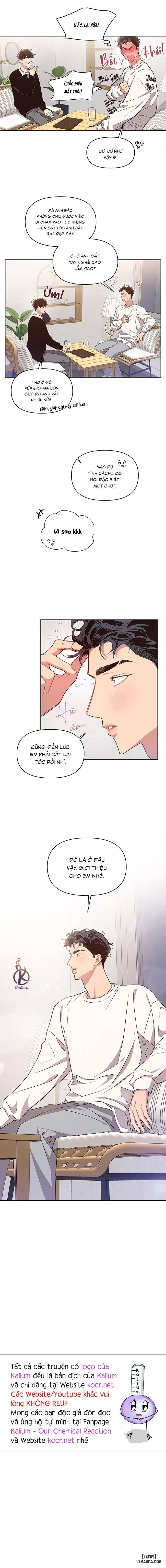Bí mật của mái tóc 