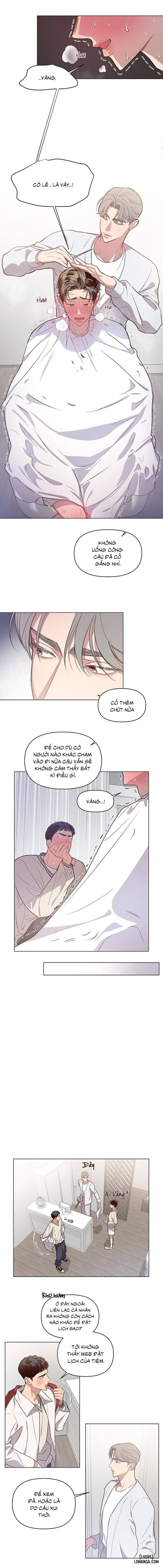 Bí mật của mái tóc 