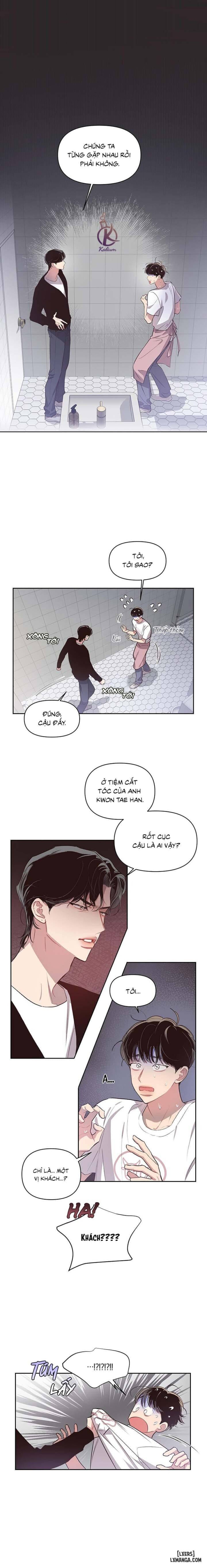 Bí mật của mái tóc 