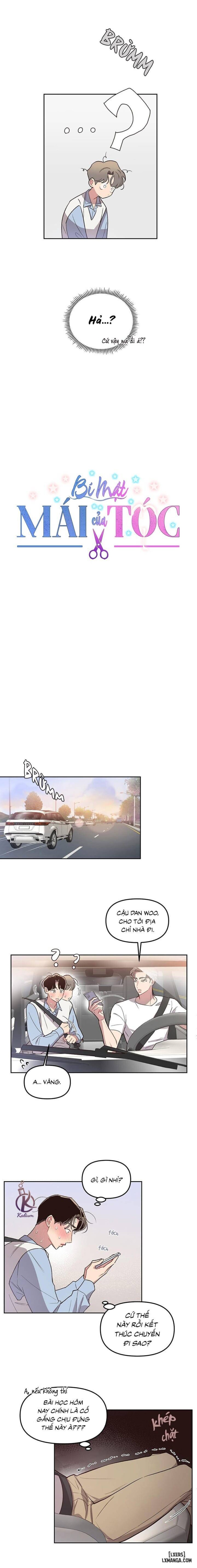 Bí mật của mái tóc 