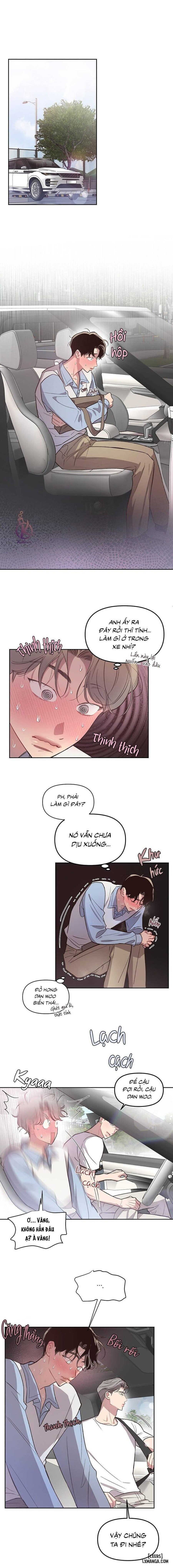 Bí mật của mái tóc 