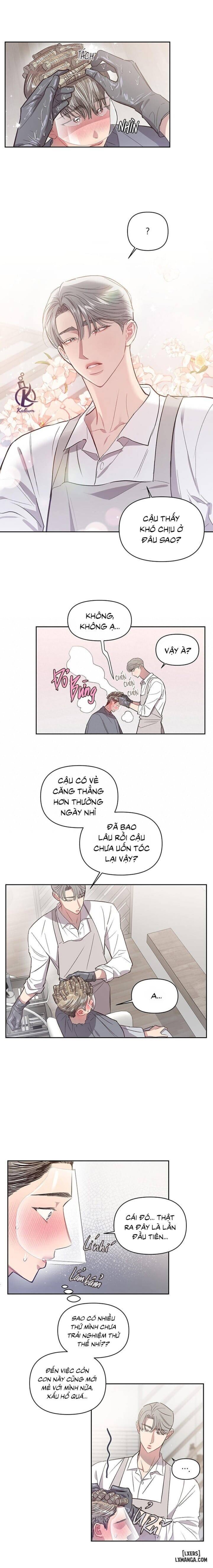 Bí mật của mái tóc 