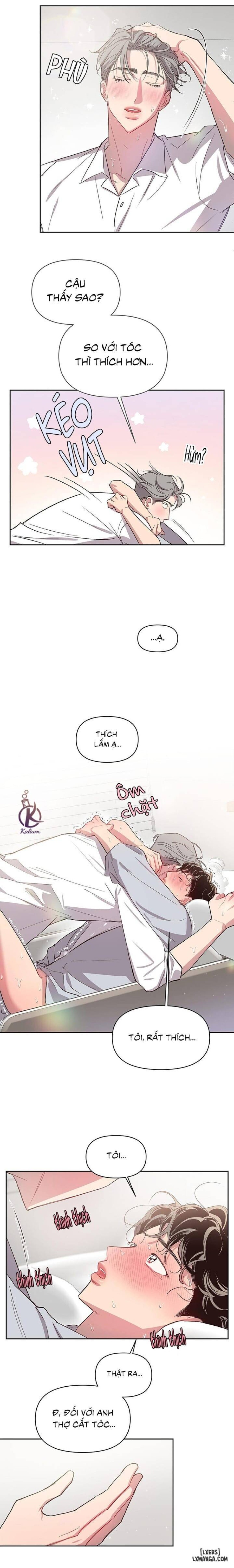 Bí mật của mái tóc 