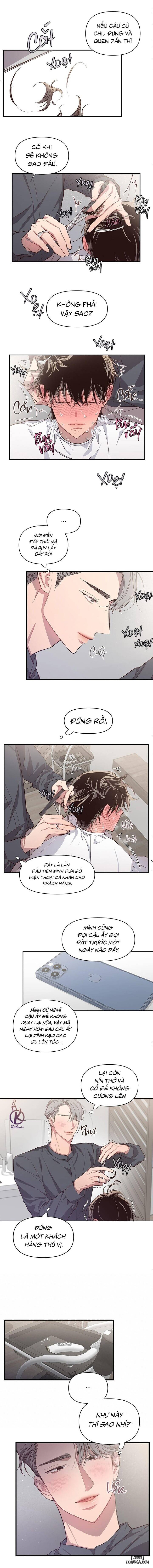 Bí mật của mái tóc 