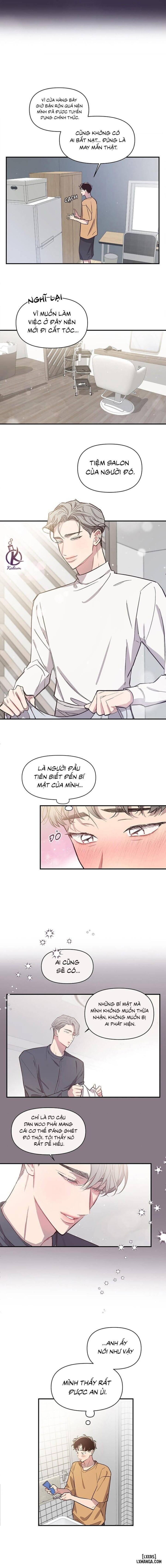 Bí mật của mái tóc 