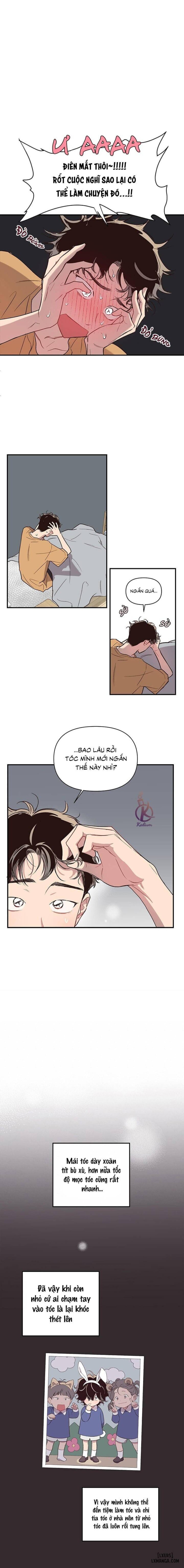 Bí mật của mái tóc 
