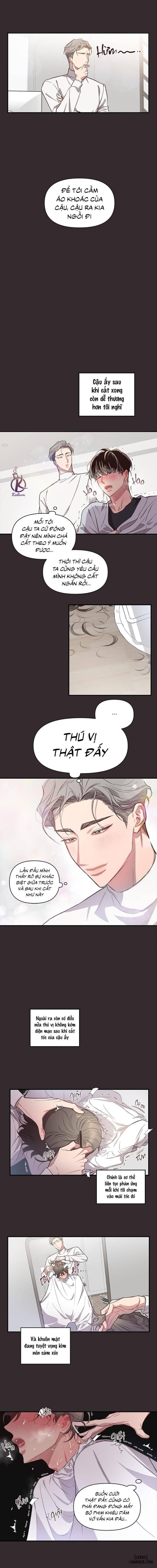 Bí mật của mái tóc 