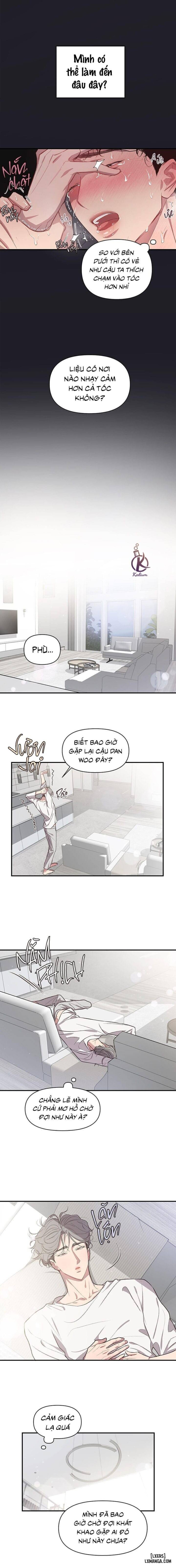 Bí mật của mái tóc 