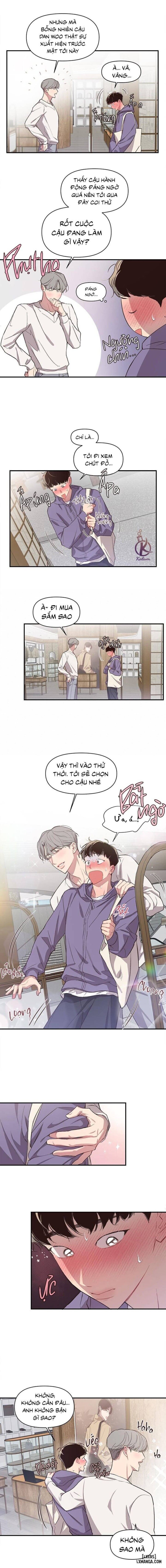 Bí mật của mái tóc 