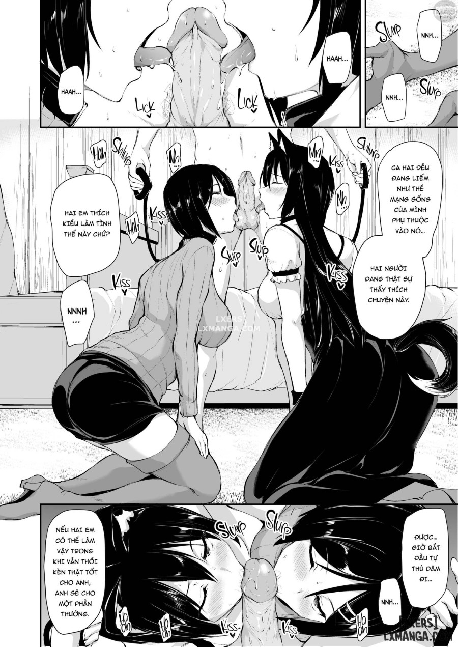 Câu Chuyện Về Harem Ở Dị Giới 