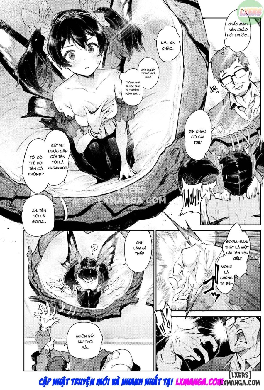 Fairy's Secret 