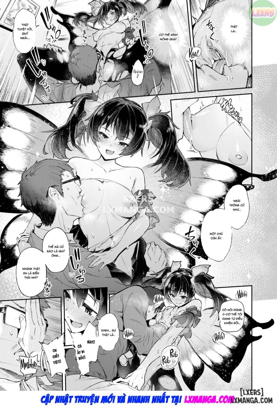 Fairy's Secret 
