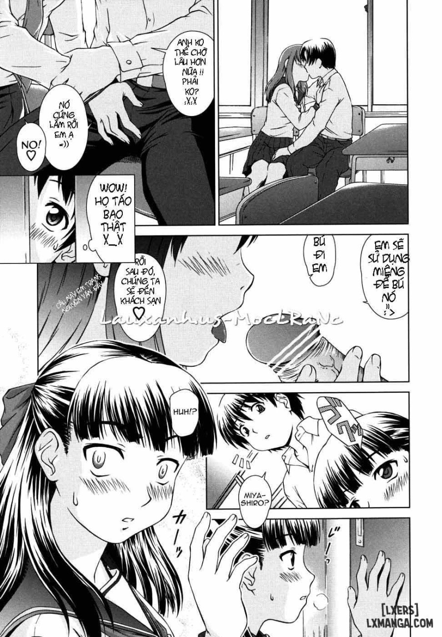 Chairman's Lover 