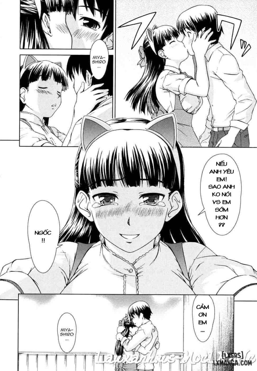 Chairman's Lover 