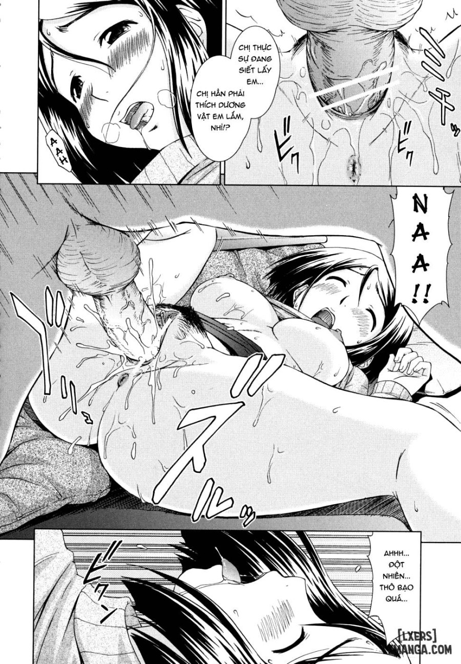 Chairman's Lover 