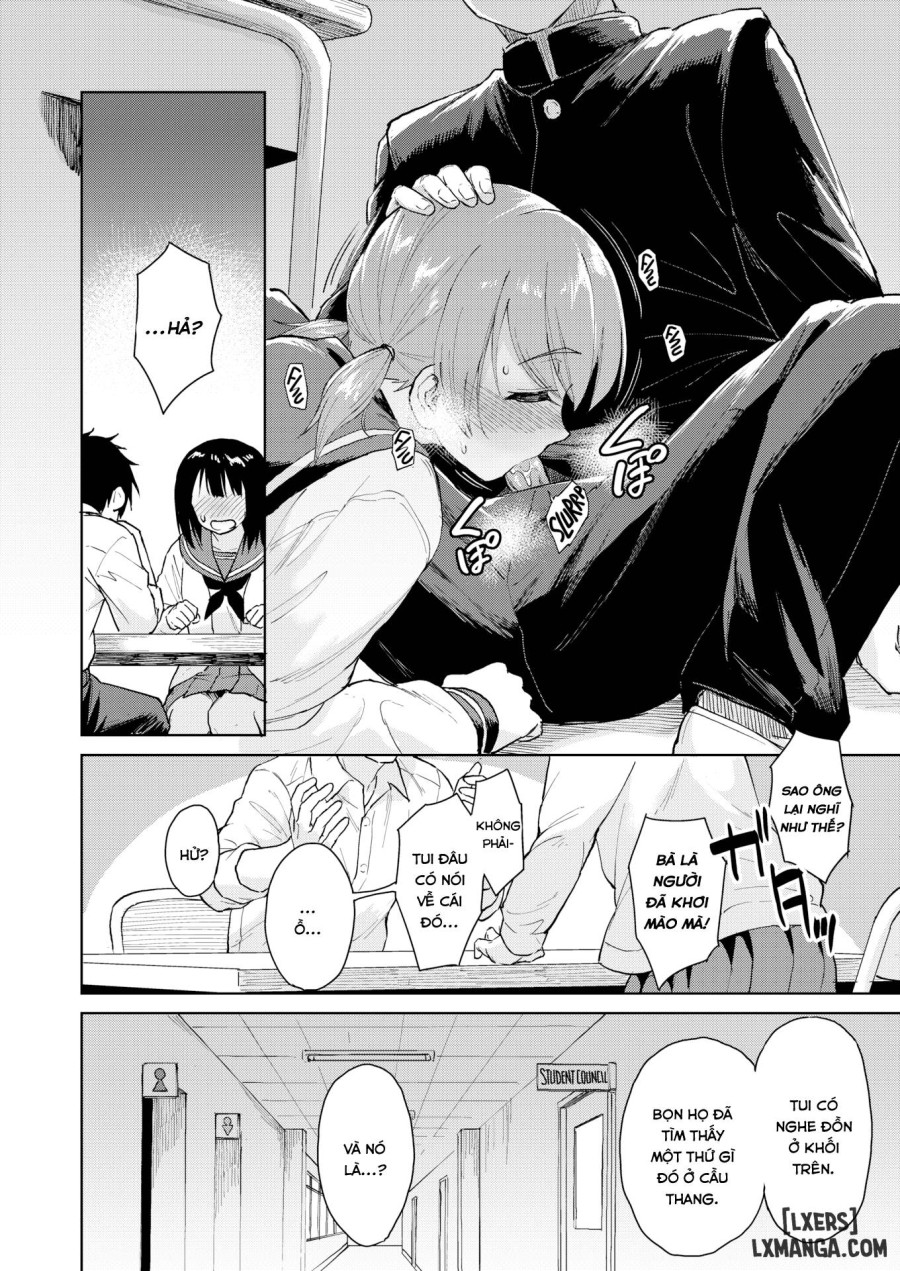 Normal Relationship 