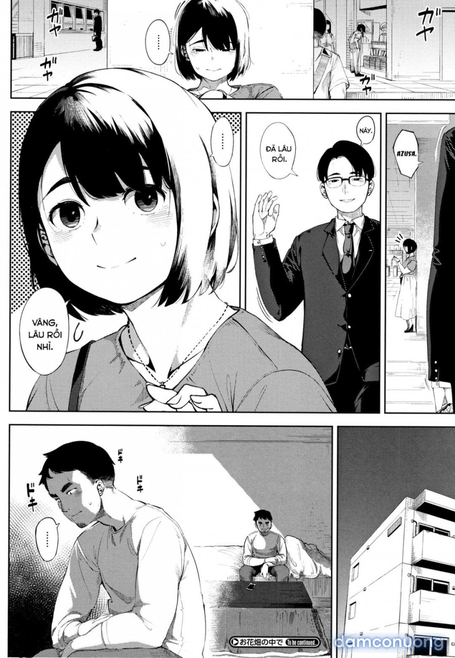 Trên cánh đồng hoa 