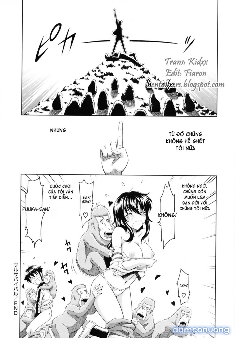 Toko-Sen 