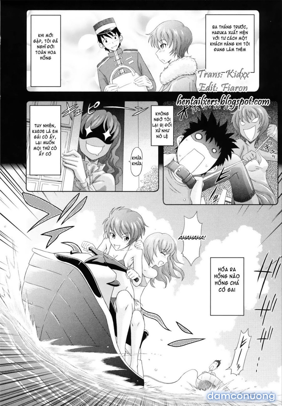 Toko-Sen 