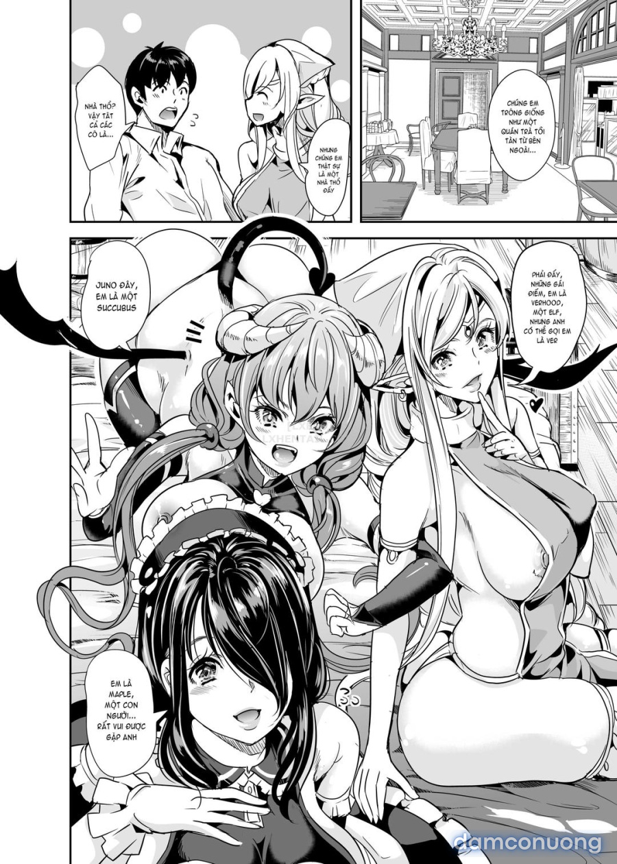 Dàn harem của tôi ở thế giới khác 