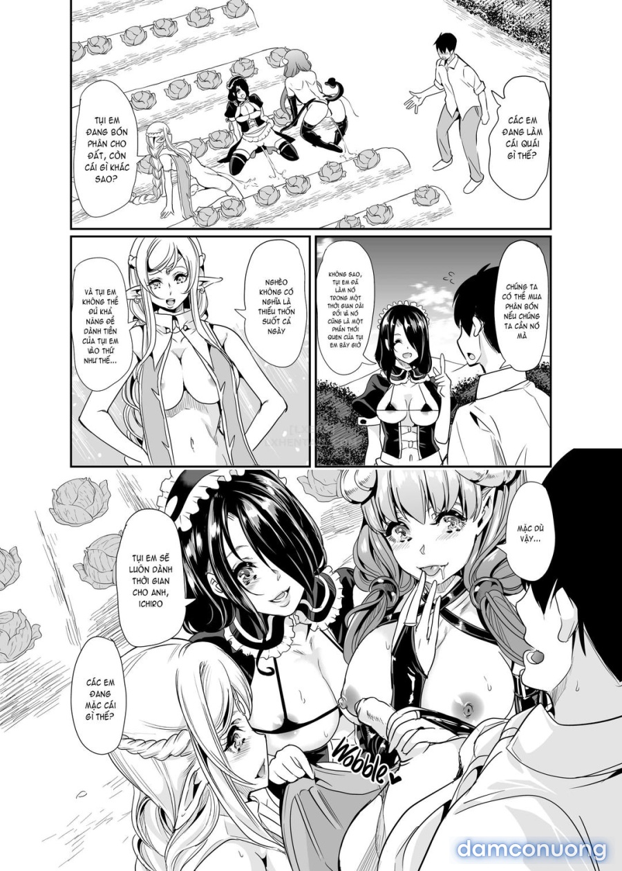 Dàn harem của tôi ở thế giới khác 
