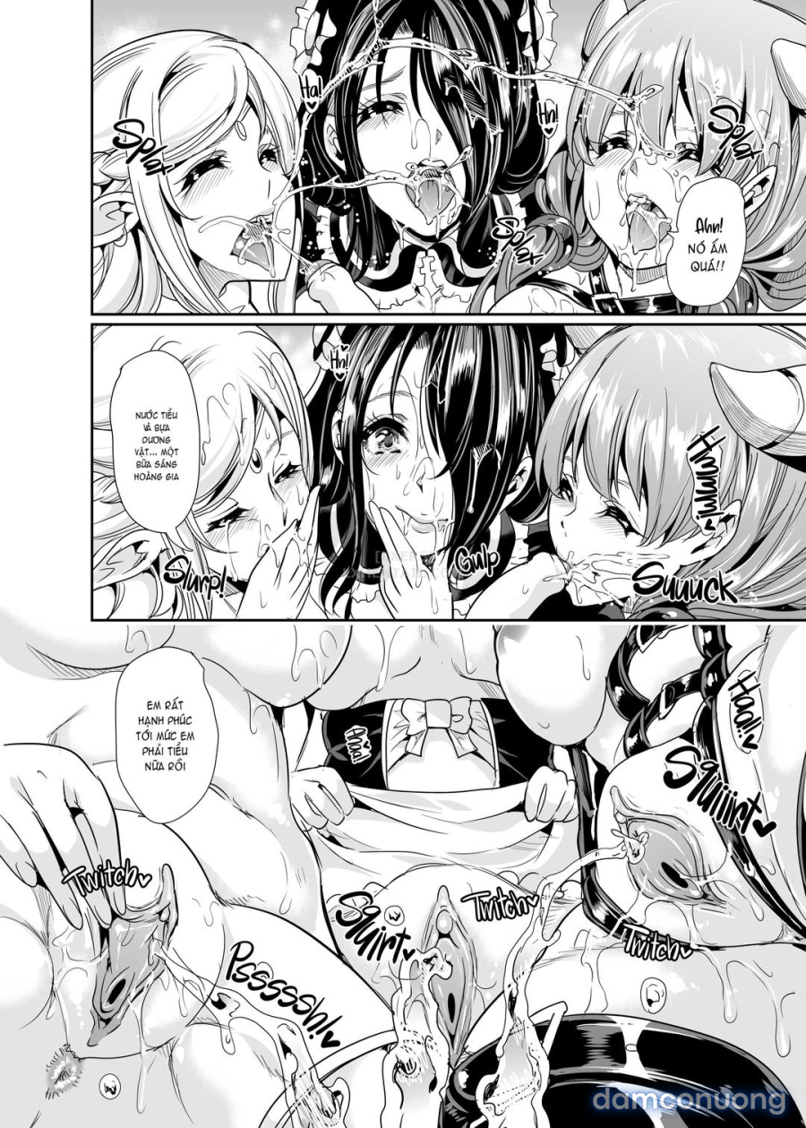 Dàn harem của tôi ở thế giới khác 