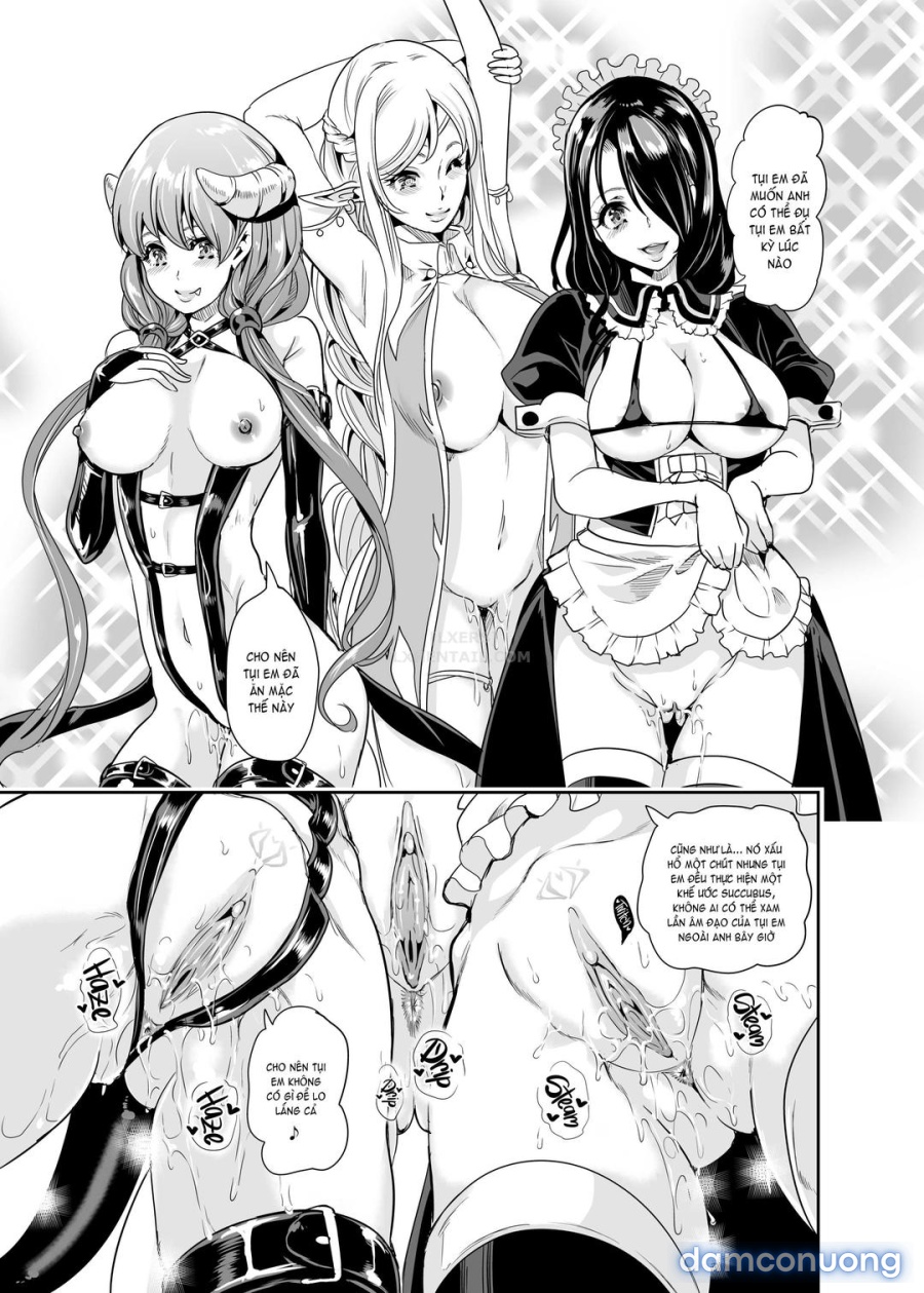 Dàn harem của tôi ở thế giới khác 