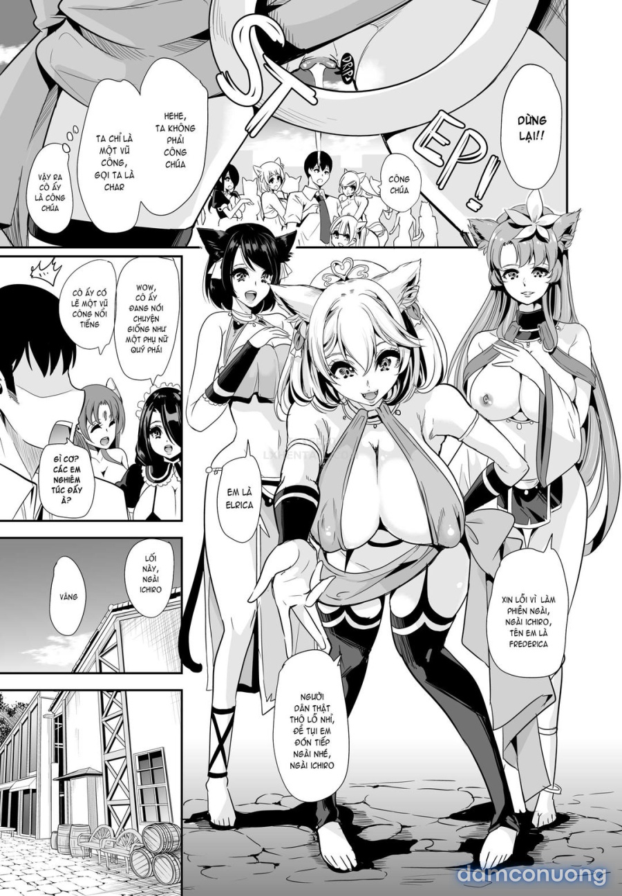 Dàn harem của tôi ở thế giới khác 