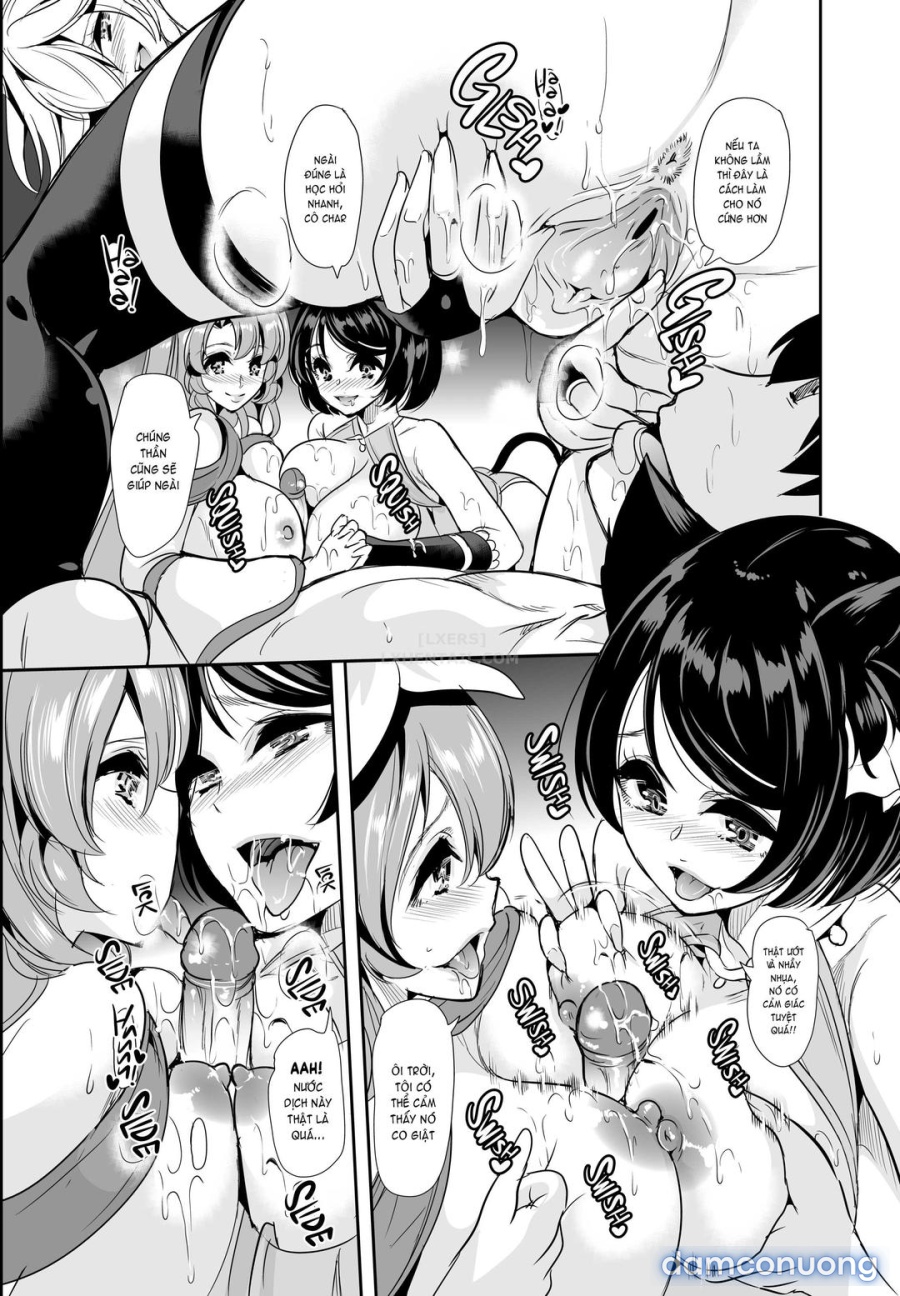 Dàn harem của tôi ở thế giới khác 