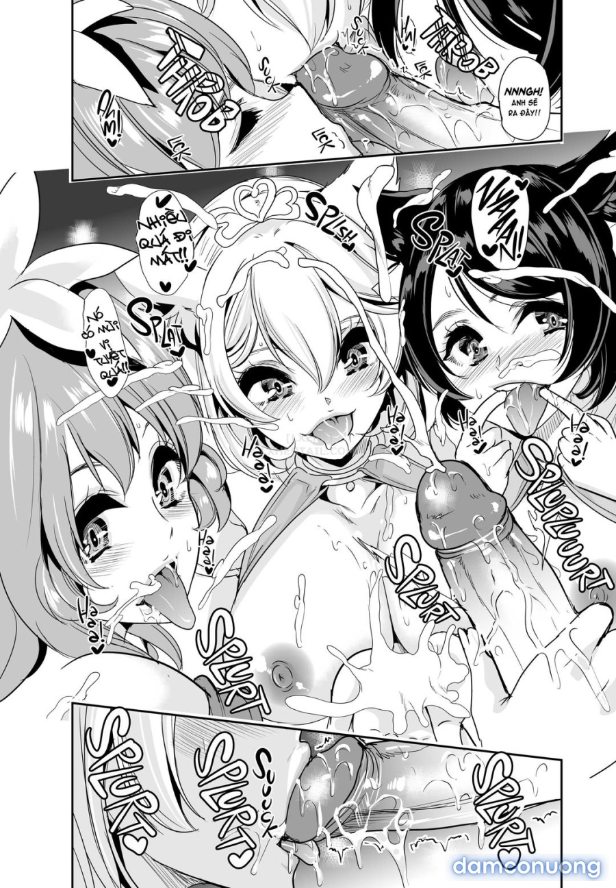 Dàn harem của tôi ở thế giới khác 