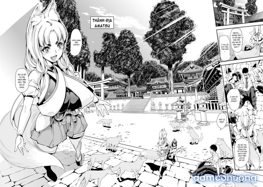 Dàn harem của tôi ở thế giới khác 