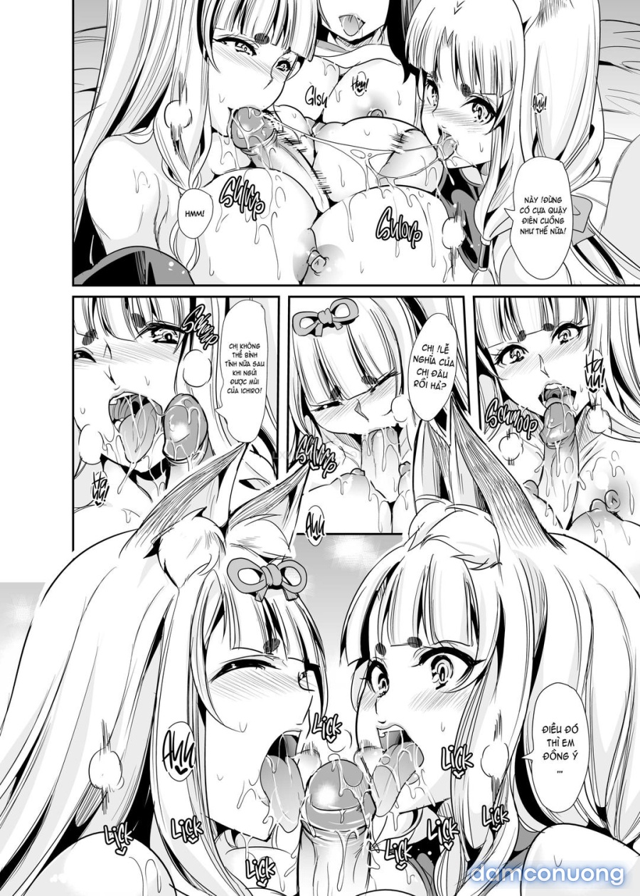 Dàn harem của tôi ở thế giới khác 